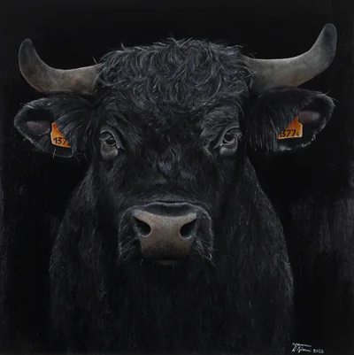 "Byk", Zuzanna Simoni-Antoniuk
