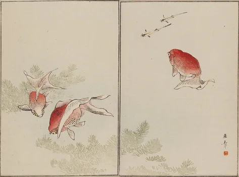 Złote rybki , Kawabata Gyokusho