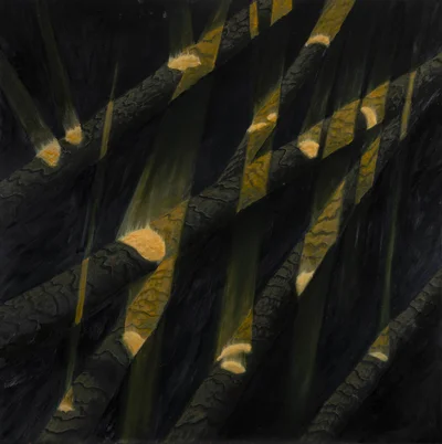 "Traces Lucis", Stefan Buczek