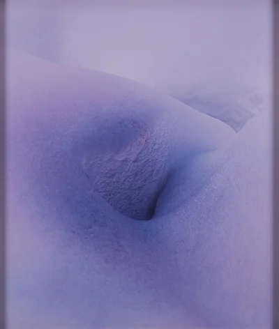 "Pure view", Przemek Dzienis
