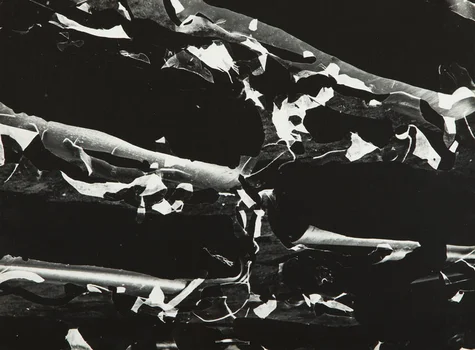 "Fotogram 32/57", Bronisław Schlabs