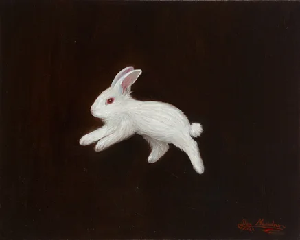 "Skaczący w nieznane", Aleksandra Maciulewicz