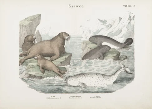 "Ssawce" Tablica 17, Józef Bąkowski, Marian Łomnicki