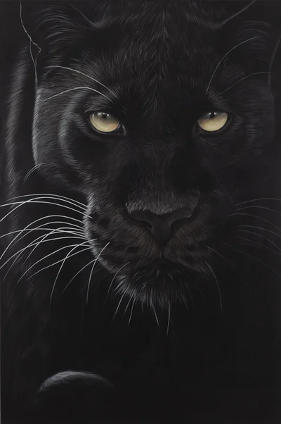 "Amber", Paulina Wróblewska