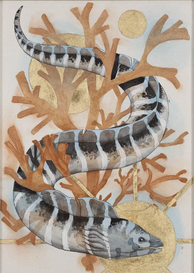 "Murena", Hanna Werkowicz