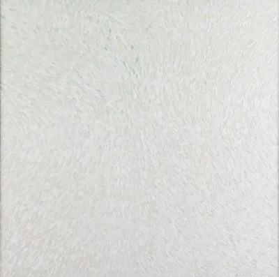 "Celadon", Weronika Motyl