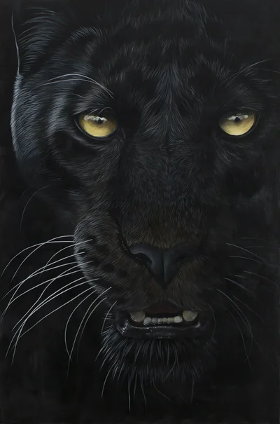 "Ater", Paulina Wróblewska