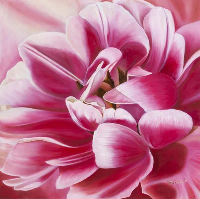 "Pink tulip", Paulina Leszczyńska