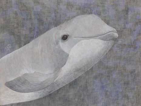 "Morświn", Karolina Dousa-Bik
